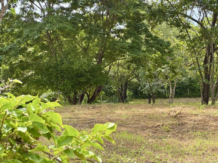 07ea376b-6706-4226-9067-21733c9f7e8f