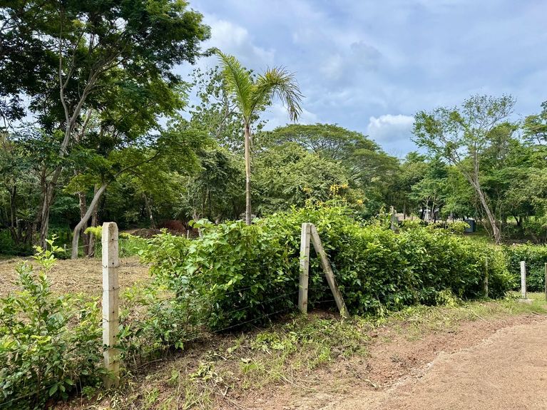 0d2f1029-e88e-41a2-aeab-e7b253670e9d