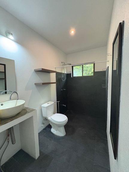 12039b6d-dbf0-4487-a39f-4387183a6910