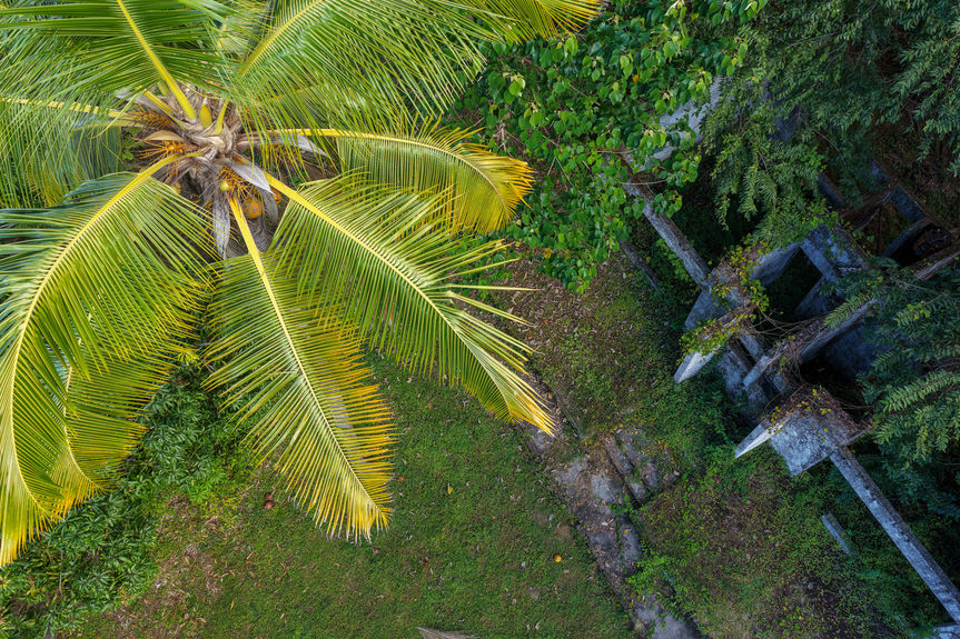 13 ACRE TITLED BEACHFRONT JUNQUILLAL-2