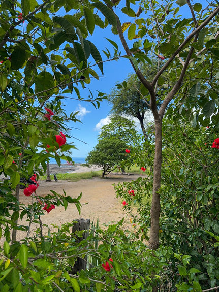 13 ACRE TITLED BEACHFRONT JUNQUILLAL-28