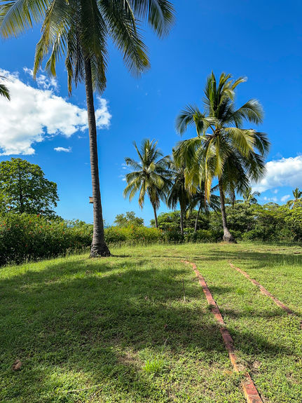 13 ACRE TITLED BEACHFRONT JUNQUILLAL-29