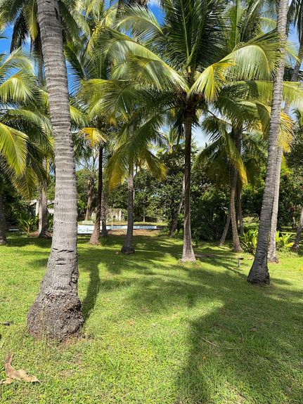 13 ACRE TITLED BEACHFRONT JUNQUILLAL-32
