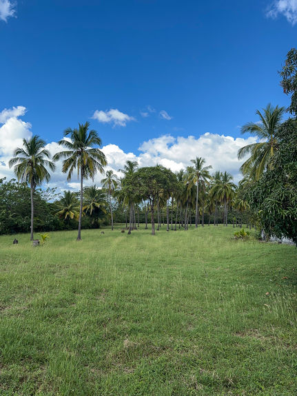13 ACRE TITLED BEACHFRONT JUNQUILLAL-42
