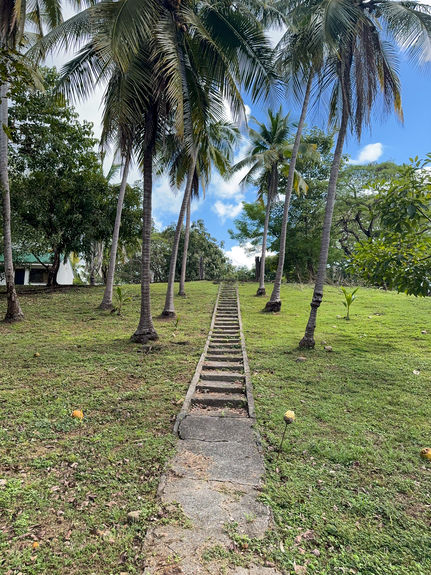 13 ACRE TITLED BEACHFRONT JUNQUILLAL-48