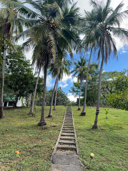 13 ACRE TITLED BEACHFRONT JUNQUILLAL-51