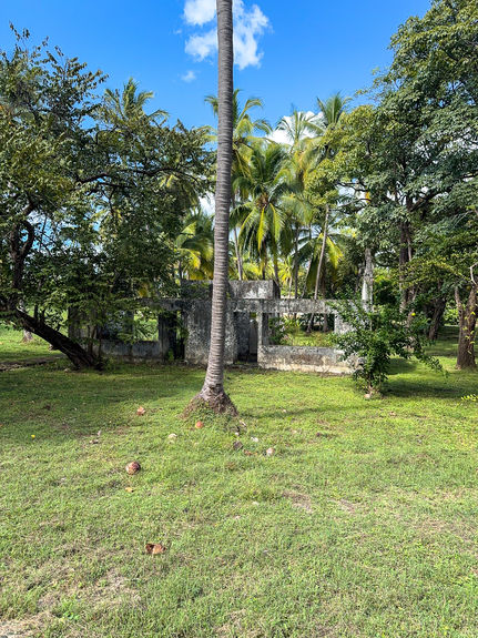 13 ACRE TITLED BEACHFRONT JUNQUILLAL-6