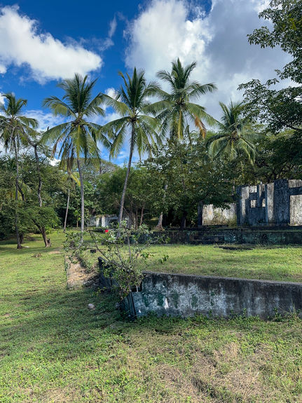 13 ACRE TITLED BEACHFRONT JUNQUILLAL-8