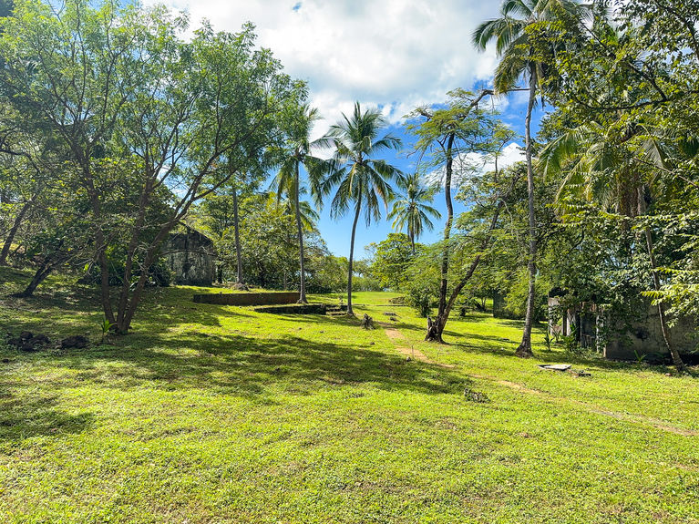 13 ACRE TITLED BEACHFRONT JUNQUILLAL-81