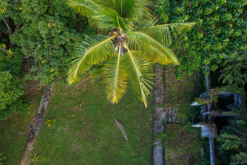 13 ACRE TITLED BEACHFRONT JUNQUILLAL