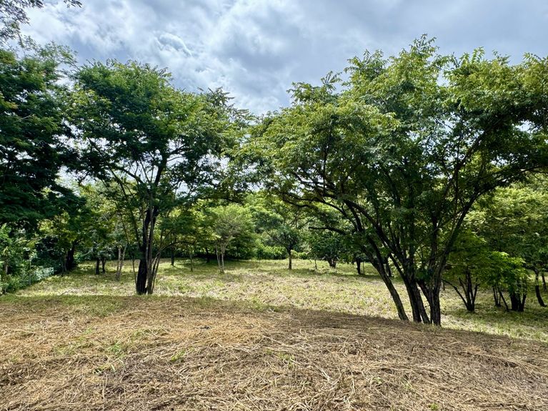 19d8e174-222e-404f-8346-cde016c85a6f