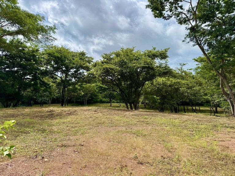 307faa55-48a1-4791-888c-7c30540bfc85