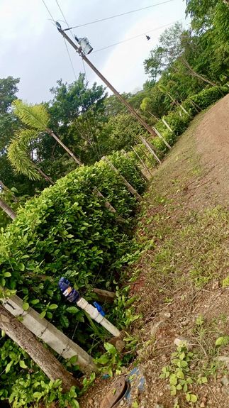 4323e18c-c928-4e92-8683-bea1161b4186