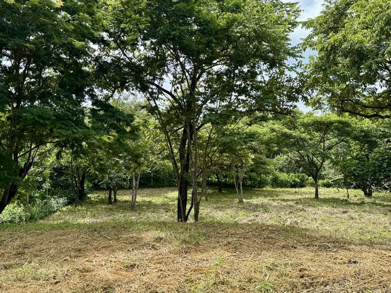 555ce4cc-d35a-4946-a427-7d258c5c5f5a