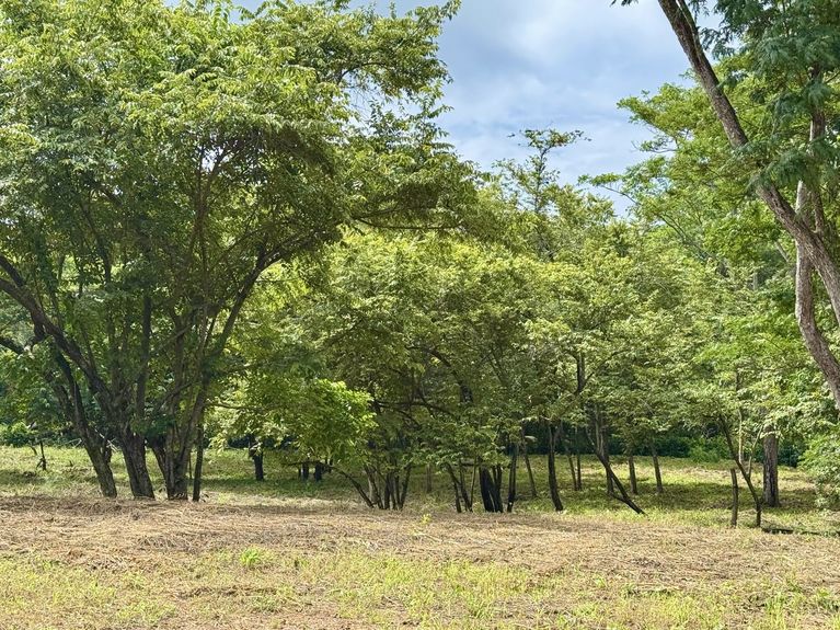 78c00580-4dae-4081-973d-a348cdd96962