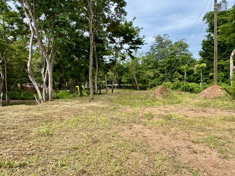 9a3818b9-ba00-427f-81ce-63c11e8a449b