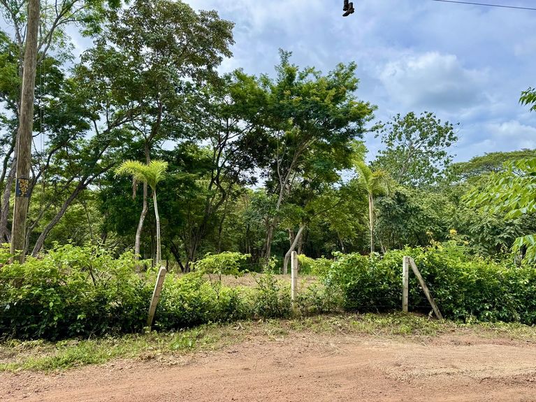 a7a201c3-92cc-4481-a82e-8ac37947387a