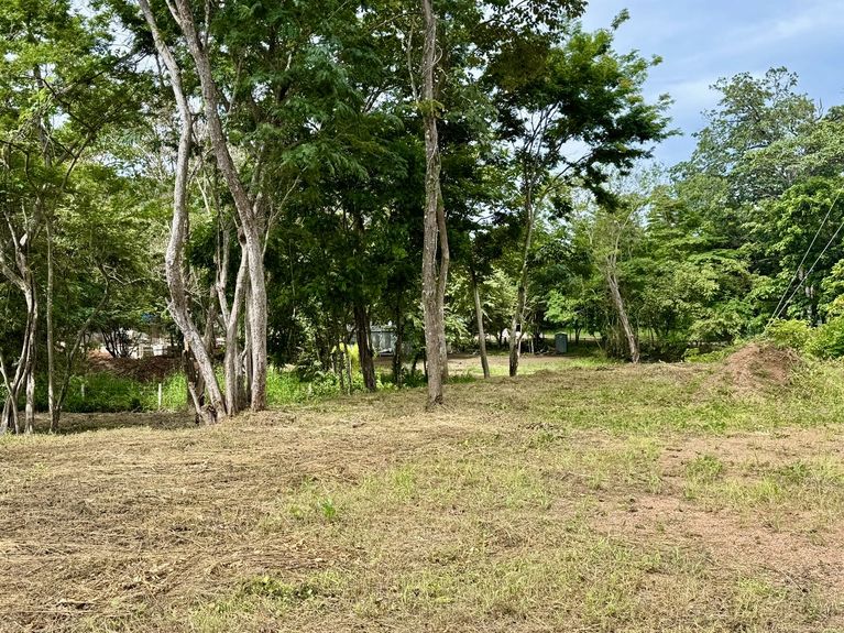 b8a473ef-f0a5-454d-ba1c-62fb46df54ef