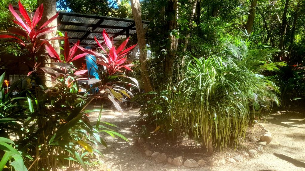 c5ebaeda-9627-423c-8bce-5ad1fe8771c4