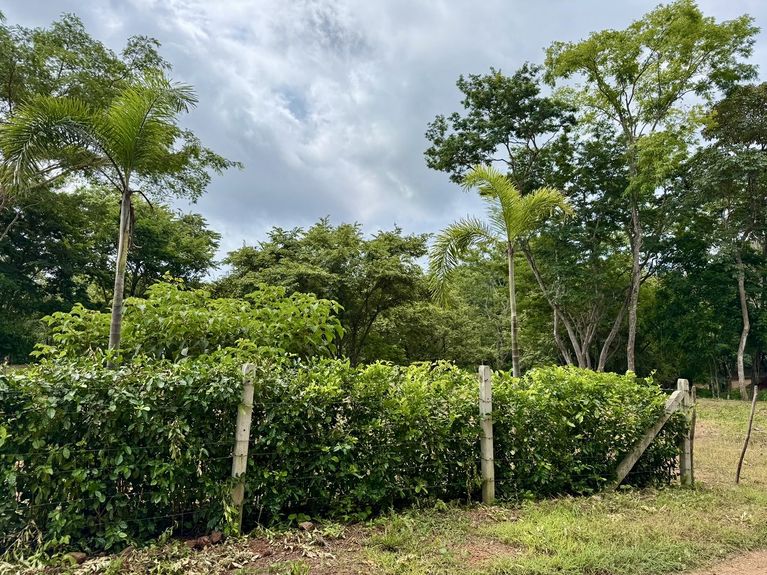 d358aba5-4f69-4004-a306-631f37291186