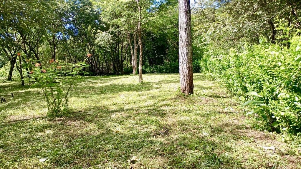 d51d2a57-aabb-41ce-a4d7-041a500d6c84