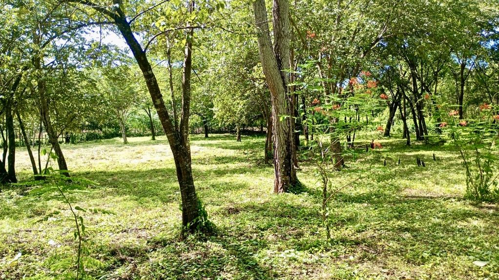 e22d8ad6-a281-48e5-934c-4fbcf0e3387d