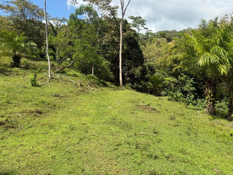 WhatsApp Image 2026-01-2