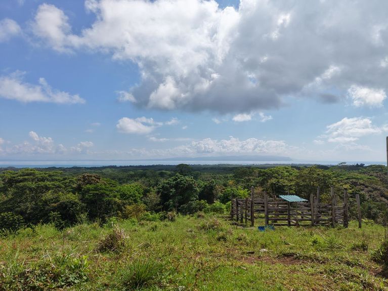 WhatsApp Image 2026-01-24 at 8.