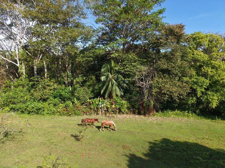 WhatsApp Image 2026-01-24 at 8.19.10 AM