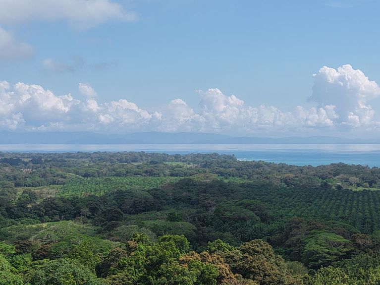 WhatsApp Image 2026-01-24 at 8.19.11 AM