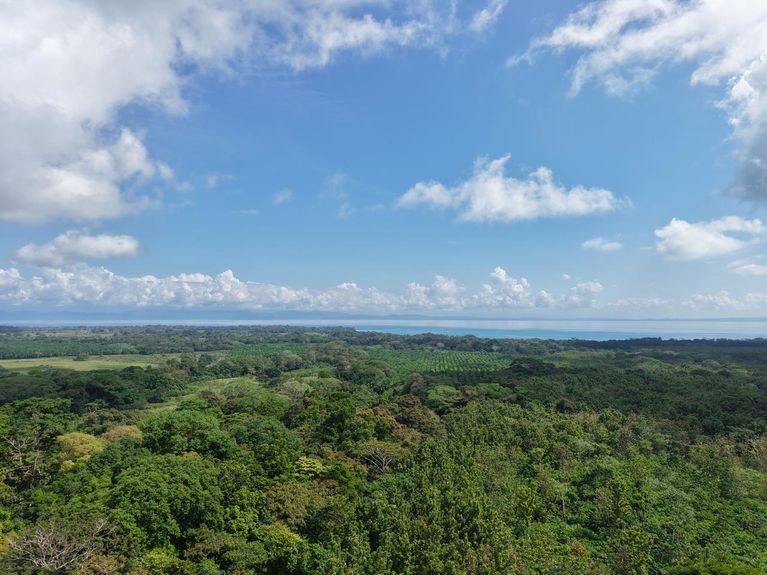 WhatsApp Image 2026-01-24 at 8.19.12 AM