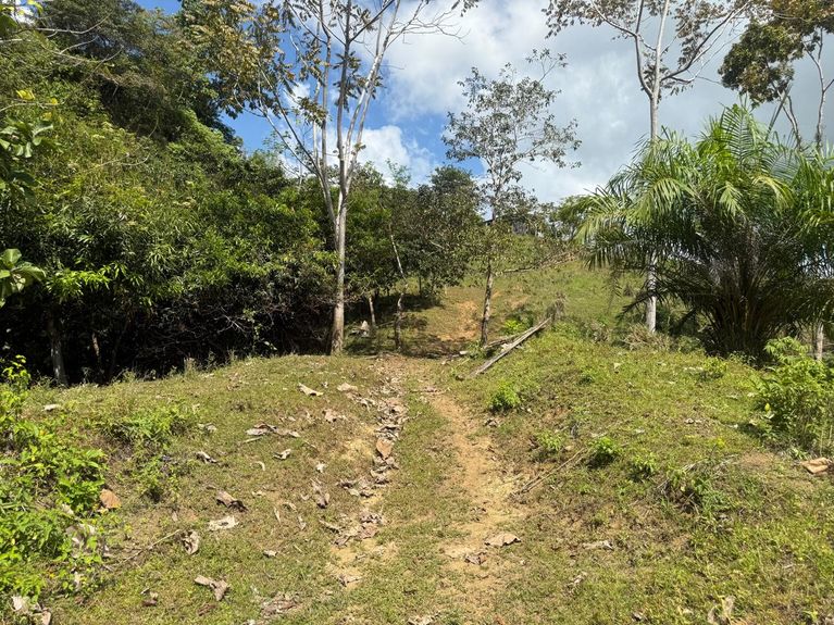 WhatsApp Image 2026-01-24 at 8.19.13 AM