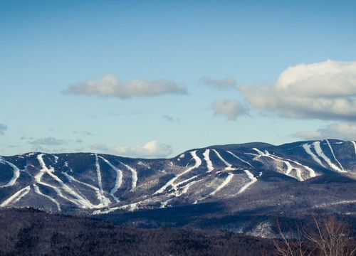 Anthony D Stock Images-10_1823x700