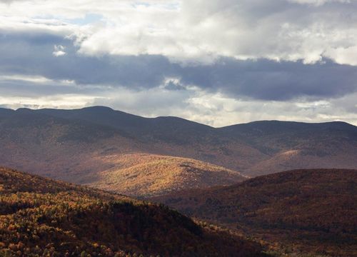 Anthony D Stock Images-6_1024x683