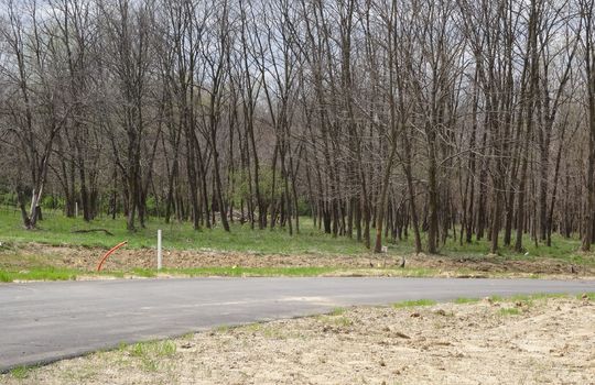 bluebird-estates-custom-lots