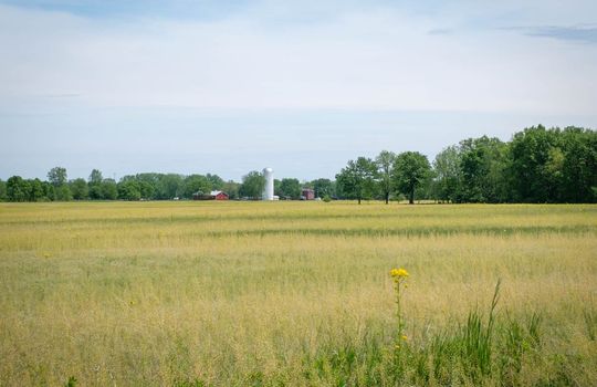 Grove City pasture