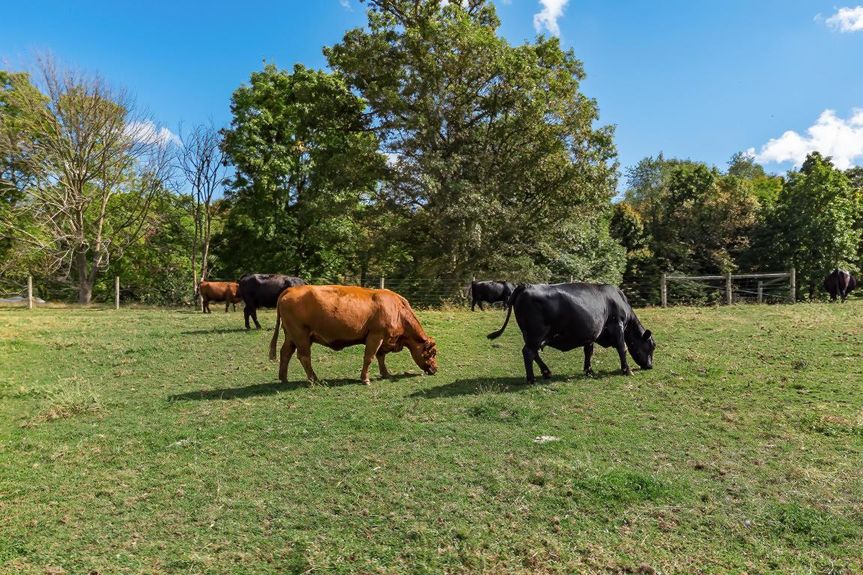 20191012162600998819000000-o