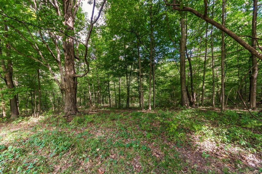 20191012162646255746000000-o