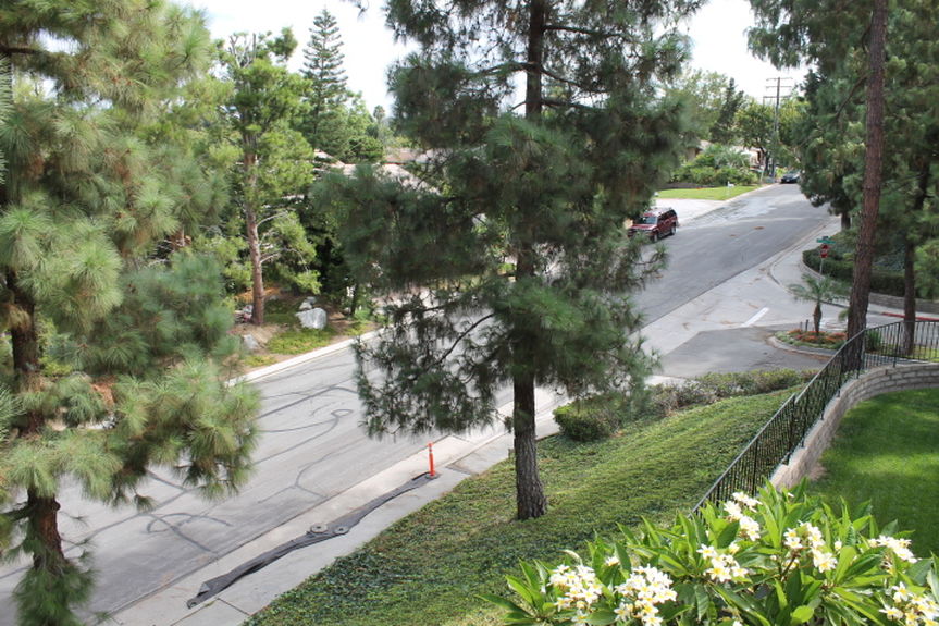 aod_1931saddlebackyardviewjpg