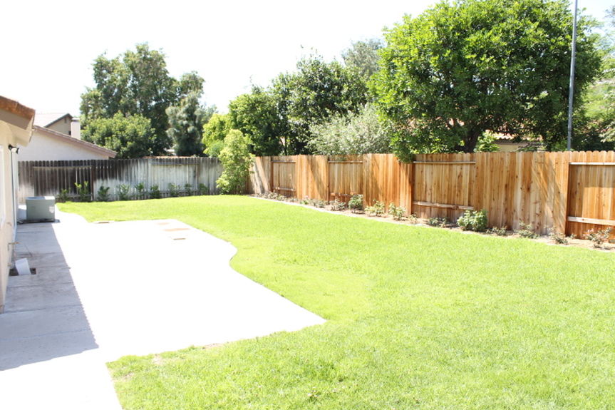 dgj_4321dortheabackyardsideviewjpg