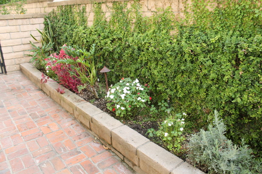 hmj_1931saddlesideyardplantsjpg