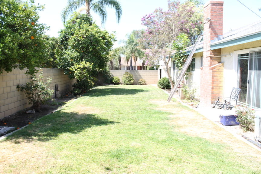 jyk_1410annajeannebackyardjpg