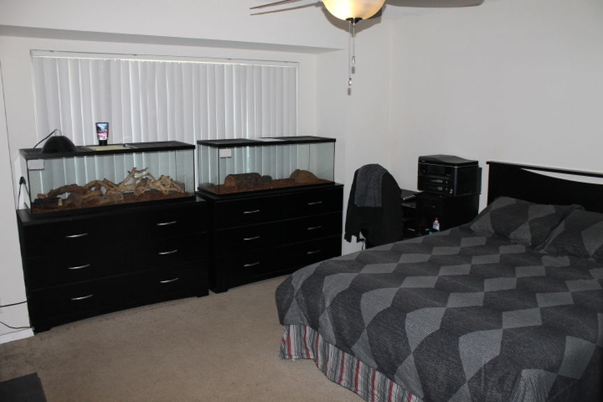 qqq_1410annajeannedownstairsmasterbedroomjpg