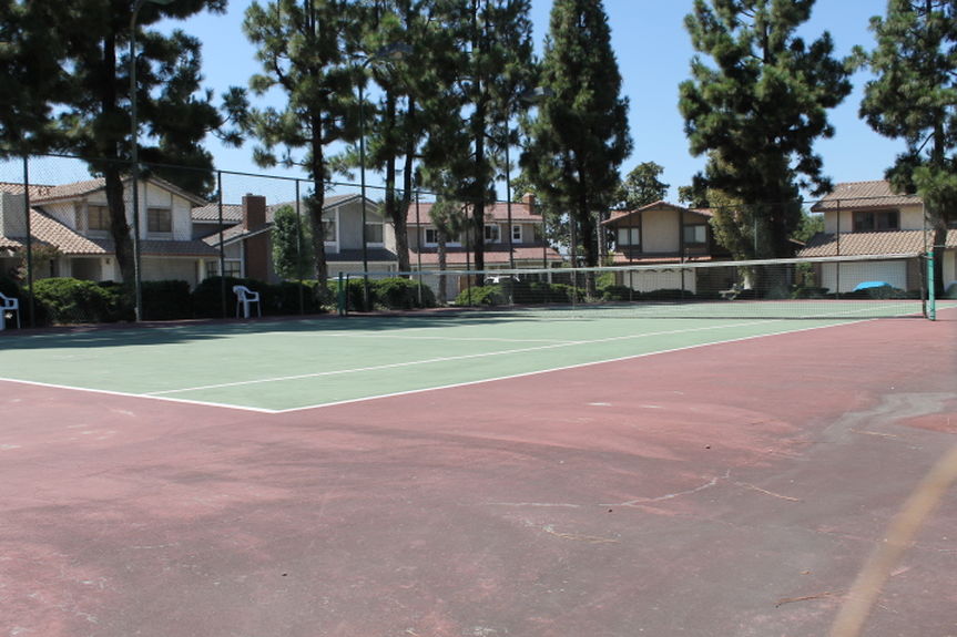 tgz_212tanforantenniscourtjpg