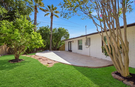 Moss oak backyard