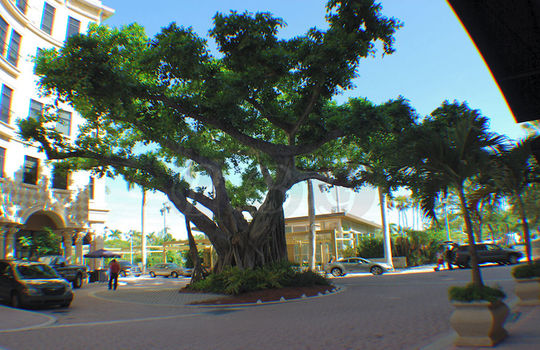 101-lofts-west-palm-beach-22