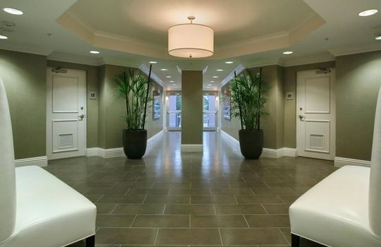 5 Palms Entryway