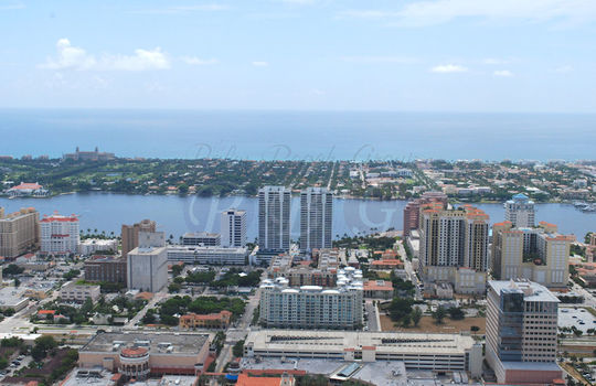 city-palms-wpb44