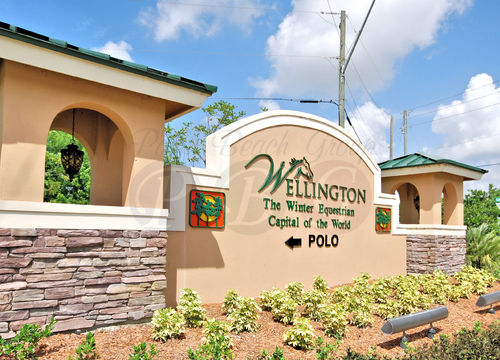 Wellington(Copy3)