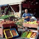farmers market - Copy